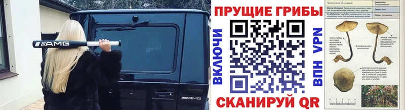 kraken ONION  Верхний Уфалей  Псилоцибиновые грибы Cubensis  дарнет шоп 